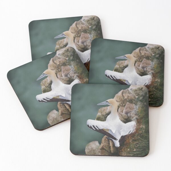 Item preview, The Northern Gannet designed and sold by ScabaceArt.
