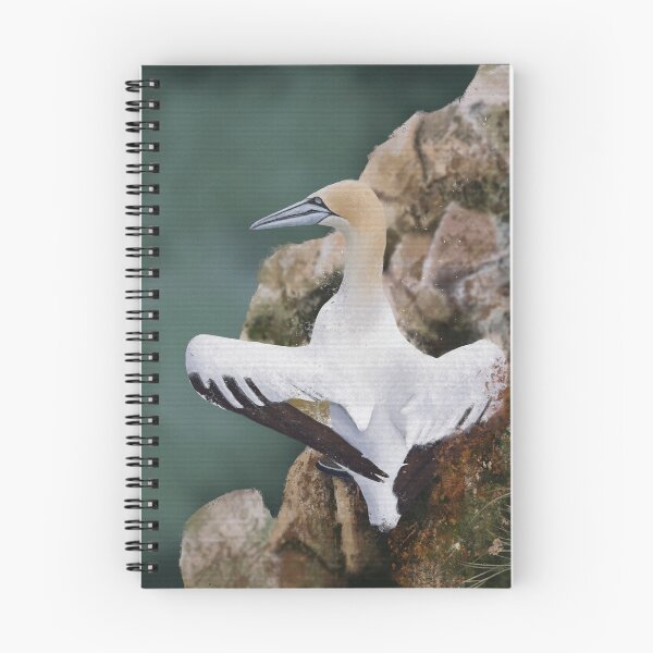 Item preview, The Northern Gannet designed and sold by ScabaceArt.