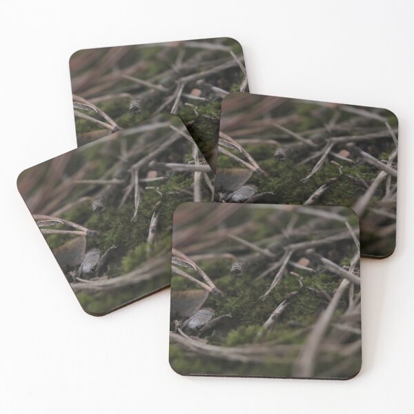Item preview, Forest Floor Whispers: Moss and Pine Needles designed and sold by vikko-art.