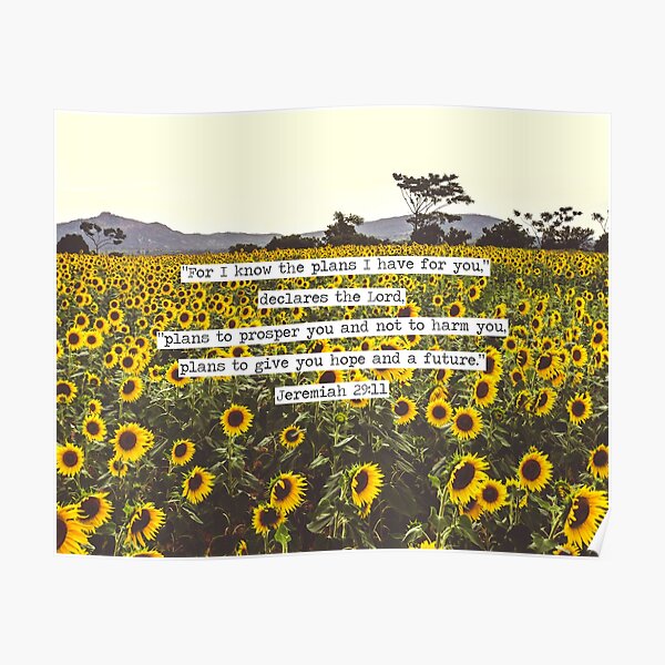 Jeremiah Sunflowers Poster