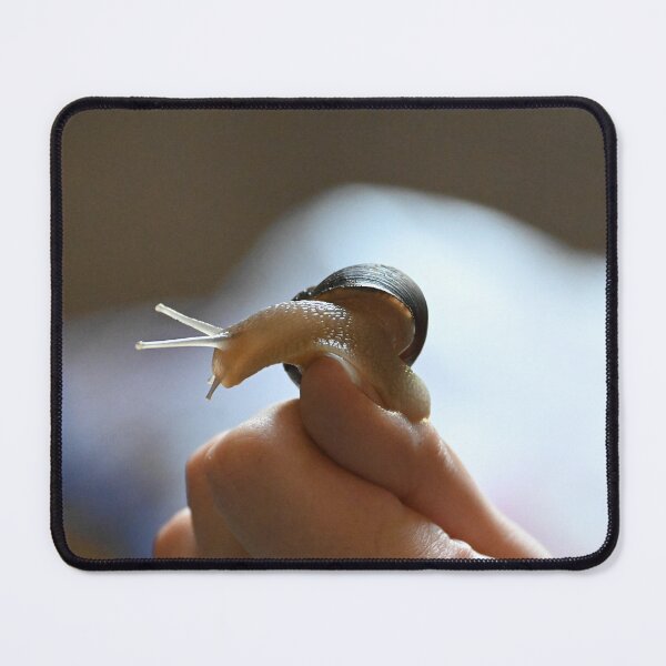 Item preview, land snail on a hand designed and sold by bagiolita.