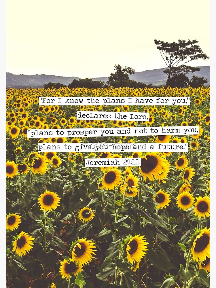 Jeremiah Sunflowers by move-mtns