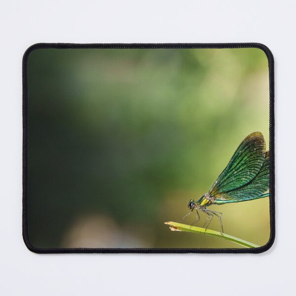 Item preview, Emerald Wings designed and sold by revameditee.