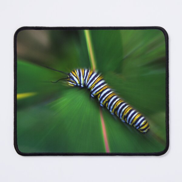 Item preview, The Monarchs Rush designed and sold by Wayne King.