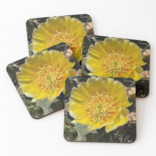 Item preview, Cacti in Canada’s only Desert designed and sold by PementPhotoArt.