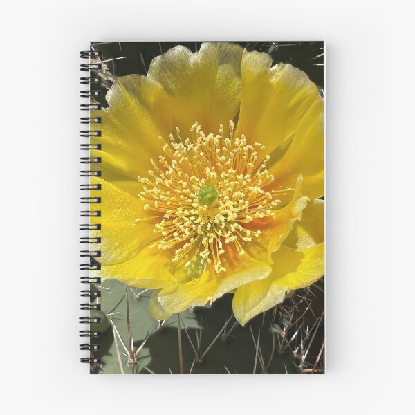 Item preview, Cacti in Canada’s only Desert designed and sold by PementPhotoArt.