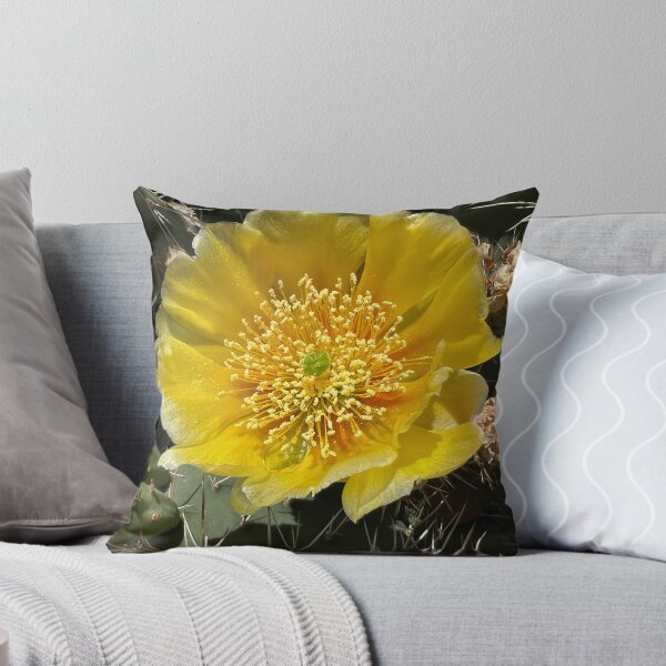 Item preview, Cacti in Canada’s only Desert designed and sold by PementPhotoArt.
