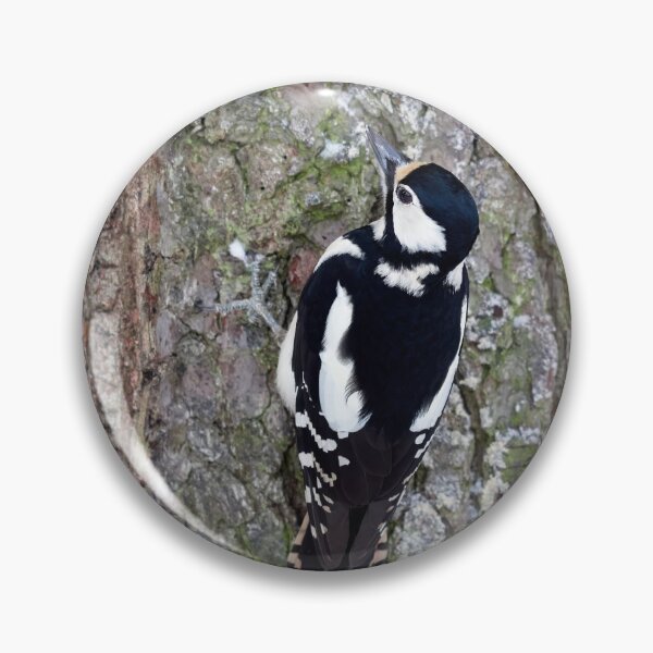 Item preview, Pinewall. Great spotted woodpecker Winter 2026 designed and sold by Jouko Lehto Photography.