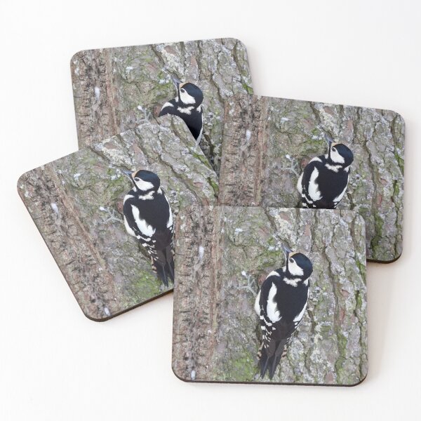 Item preview, Pinewall. Great spotted woodpecker Winter 2026 designed and sold by Jouko Lehto Photography.
