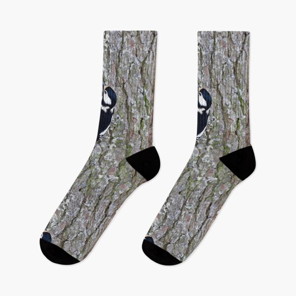 Item preview, Pinewall. Great spotted woodpecker Winter 2026 designed and sold by Jouko Lehto Photography.