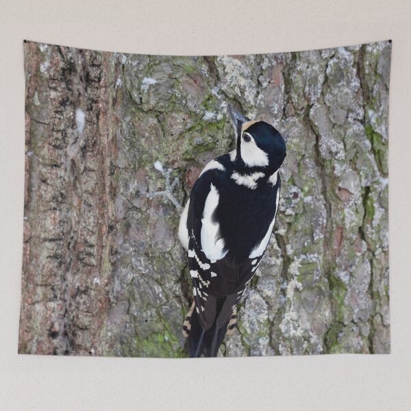 Item preview, Pinewall. Great spotted woodpecker Winter 2026 designed and sold by Jouko Lehto Photography.