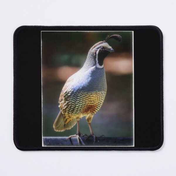 Item preview, On Sentry Duty designed and sold by PementPhotoArt.