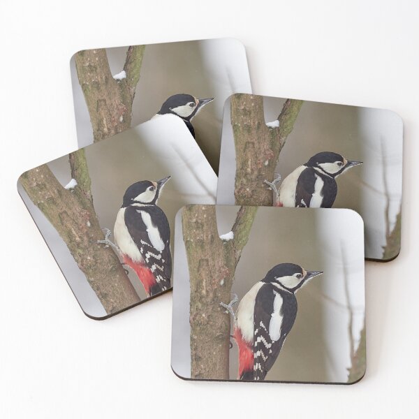 Item preview, Dreaming. Great spotted woodpecker Winter 2026 designed and sold by Jouko Lehto Photography.