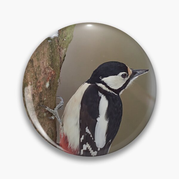 Item preview, Dreaming. Great spotted woodpecker Winter 2026 designed and sold by Jouko Lehto Photography.