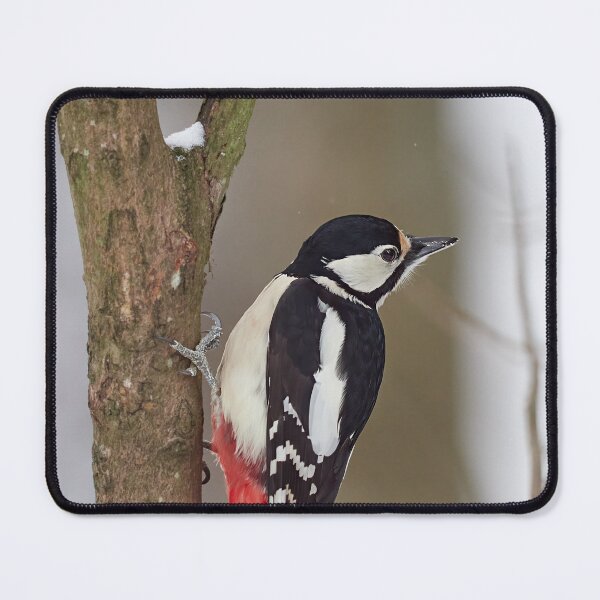 Item preview, Dreaming. Great spotted woodpecker Winter 2026 designed and sold by Jouko Lehto Photography.
