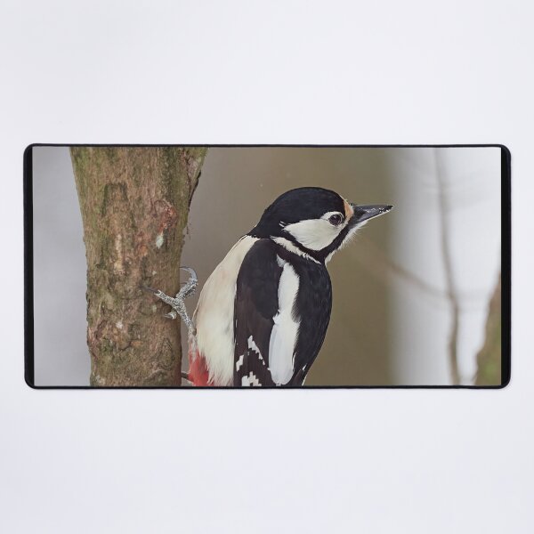 Item preview, Dreaming. Great spotted woodpecker Winter 2026 designed and sold by Jouko Lehto Photography.