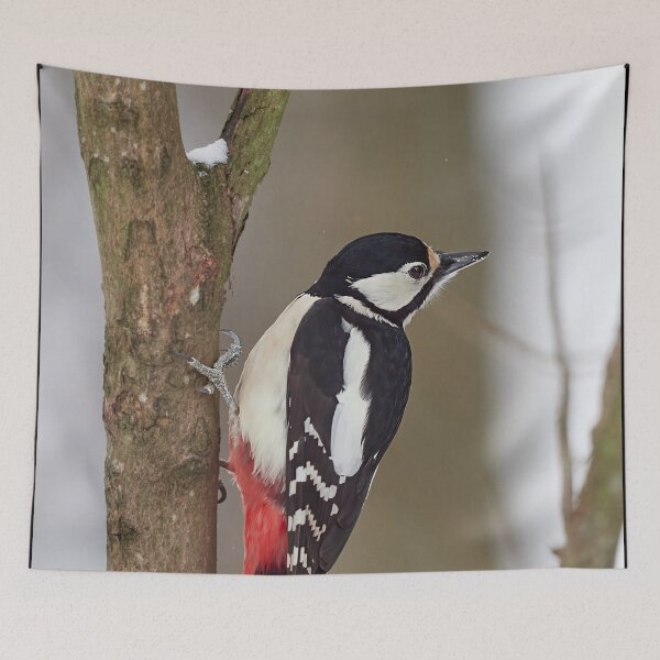 Item preview, Dreaming. Great spotted woodpecker Winter 2026 designed and sold by Jouko Lehto Photography.
