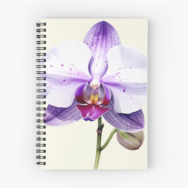 Item preview, Belleza suave, gran flor de orquídea de color blanco púrpura. designed and sold by LiskoDesign.
