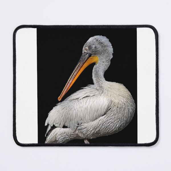 Item preview, Potrtait of a Resting Pelican designed and sold by Makaronia.