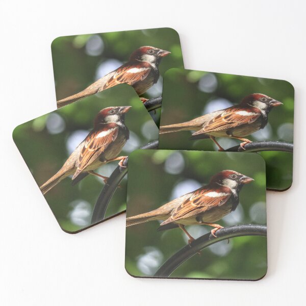 Item preview, Perched designed and sold by PementPhotoArt.