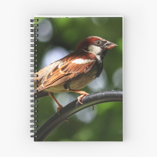 Item preview, Perched designed and sold by PementPhotoArt.