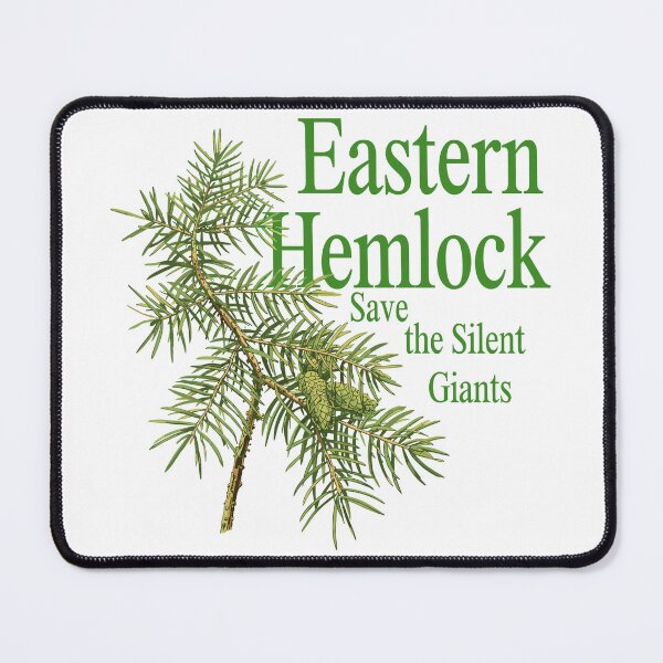 Item preview, Eastern Hemlock designed and sold by JessArty ⭐⭐⭐⭐⭐.