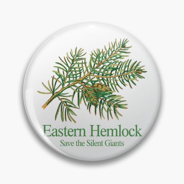 Item preview, Eastern Hemlock designed and sold by JessArty ⭐⭐⭐⭐⭐.