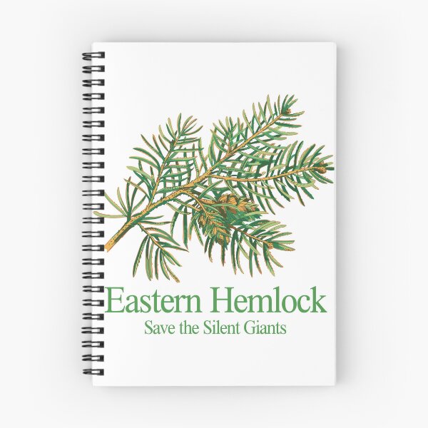 Item preview, Eastern Hemlock designed and sold by JessArty ⭐⭐⭐⭐⭐.