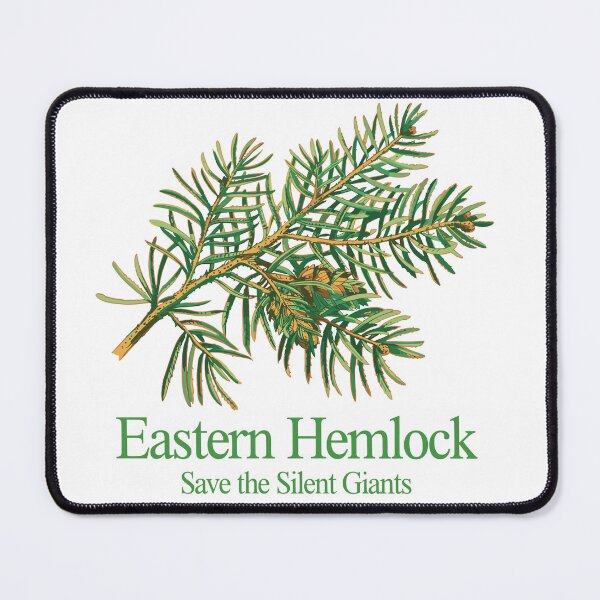 Item preview, Eastern Hemlock designed and sold by JessArty ⭐⭐⭐⭐⭐.