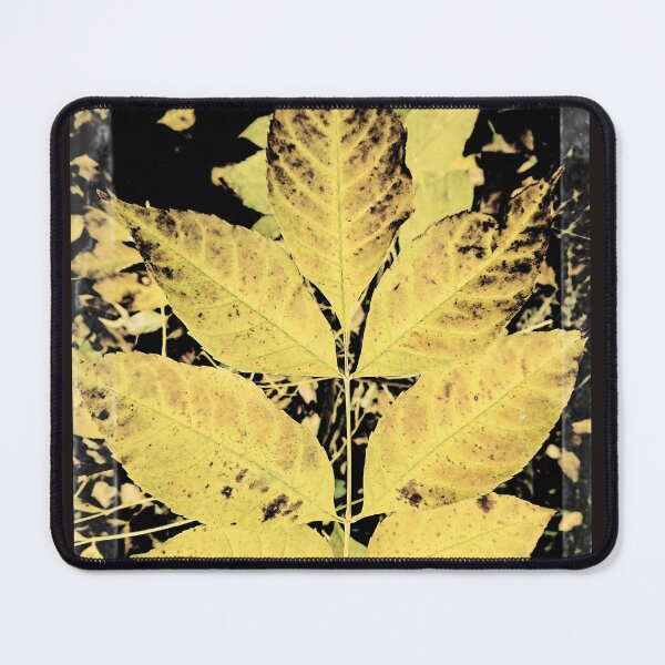 Item preview, Yellow ash leaf at dusk designed and sold by Enerjetal.