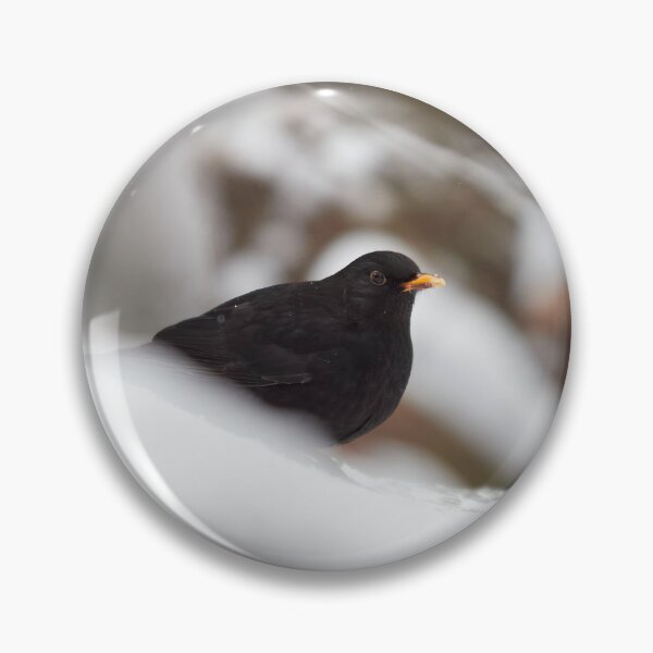 Item preview, Snowtime. Eurasian blackbird Winter 2026 designed and sold by Jouko Lehto Photography.
