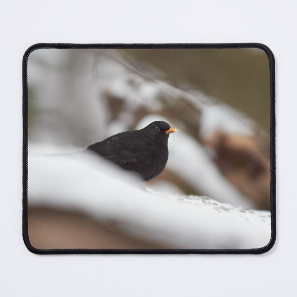 Item preview, Snowtime. Eurasian blackbird Winter 2026 designed and sold by Jouko Lehto Photography.
