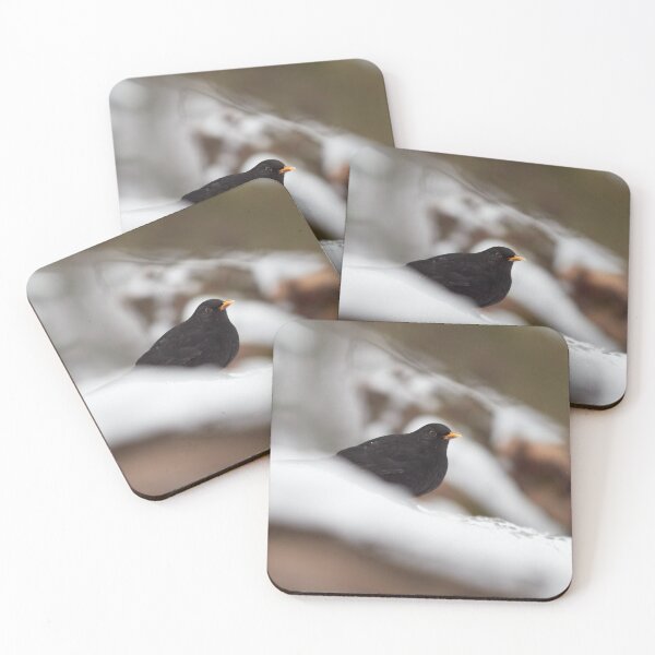 Item preview, Snowtime. Eurasian blackbird Winter 2026 designed and sold by Jouko Lehto Photography.