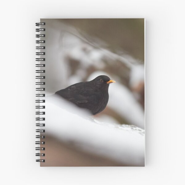 Item preview, Snowtime. Eurasian blackbird Winter 2026 designed and sold by Jouko Lehto Photography.