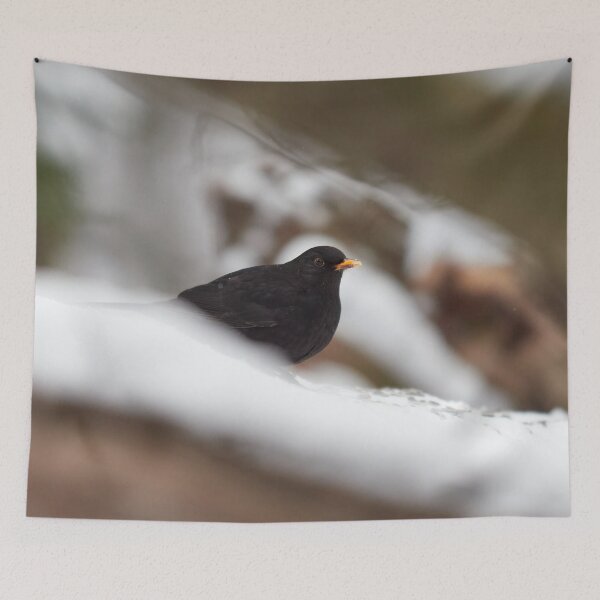Item preview, Snowtime. Eurasian blackbird Winter 2026 designed and sold by Jouko Lehto Photography.