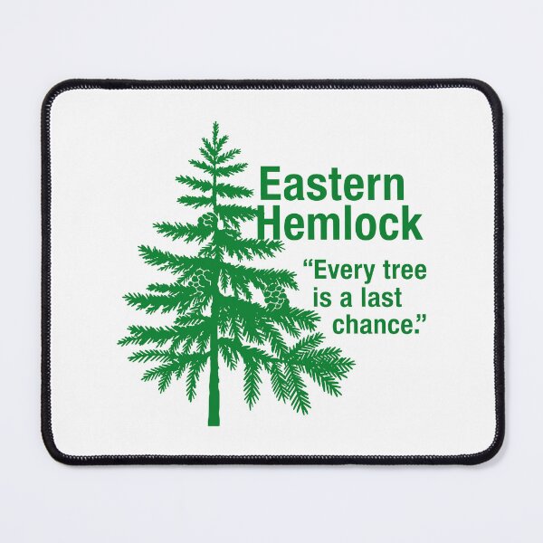 Item preview, Eastern Hemlock – Forest Preservation Art designed and sold by JessArty ⭐⭐⭐⭐⭐.