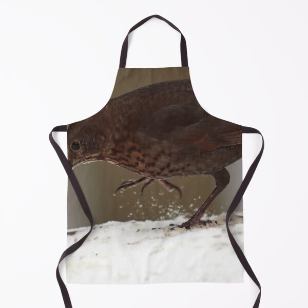 Item preview, Step by step. Eurasian blackbird Winter 2026 designed and sold by Jouko Lehto Photography.