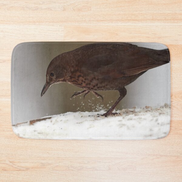 Item preview, Step by step. Eurasian blackbird Winter 2026 designed and sold by Jouko Lehto Photography.