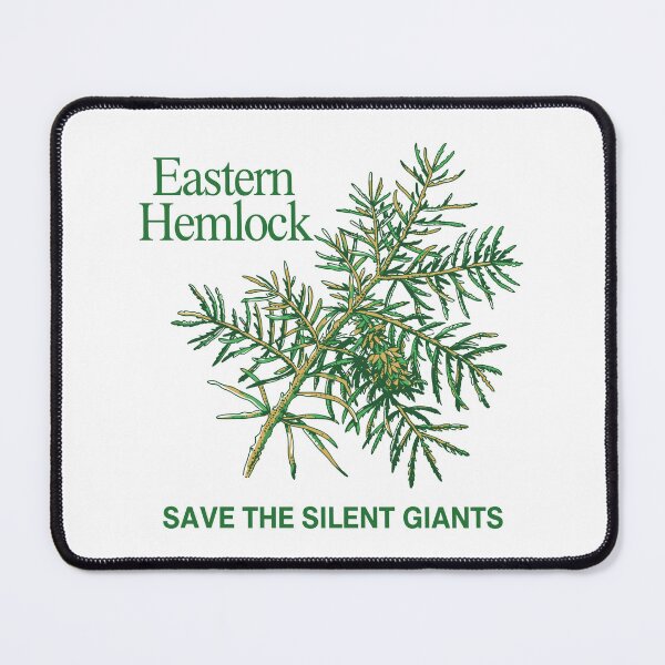 Item preview, Eastern Hemlock designed and sold by JessArty ⭐⭐⭐⭐⭐.