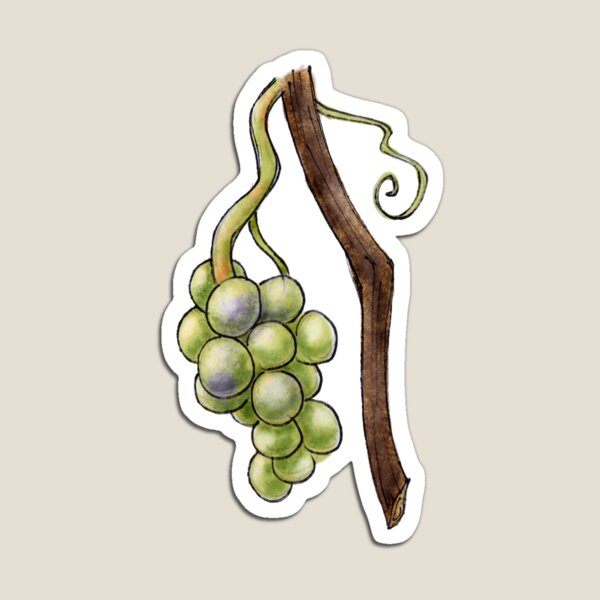 Item preview, A Cluster of Green Grapes Drawing designed and sold by A_Guy_With_Art_Supplies.