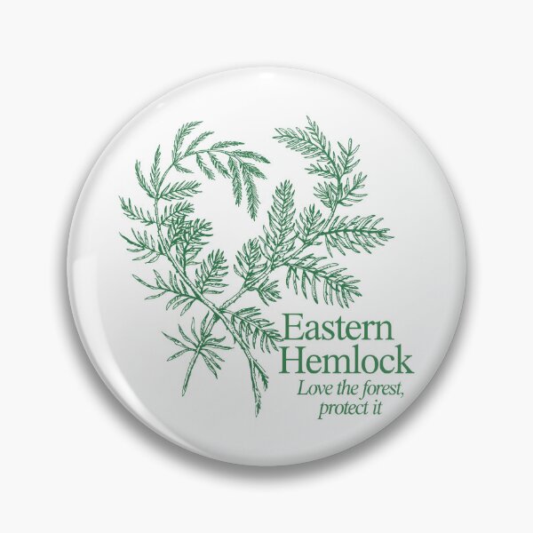 Item preview, Eastern Hemlock designed and sold by JessArty ⭐⭐⭐⭐⭐.
