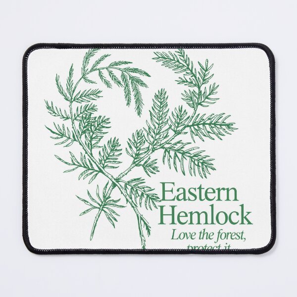 Item preview, Eastern Hemlock designed and sold by JessArty ⭐⭐⭐⭐⭐.