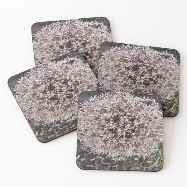 Item preview, botanical starburst close up floral photo art design designed and sold by SmashingDeals.