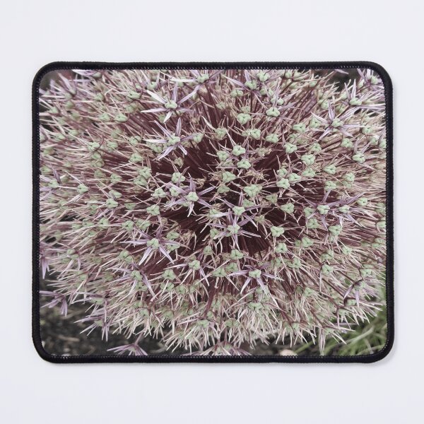 Item preview, botanical starburst close up floral photo art design designed and sold by SmashingDeals.