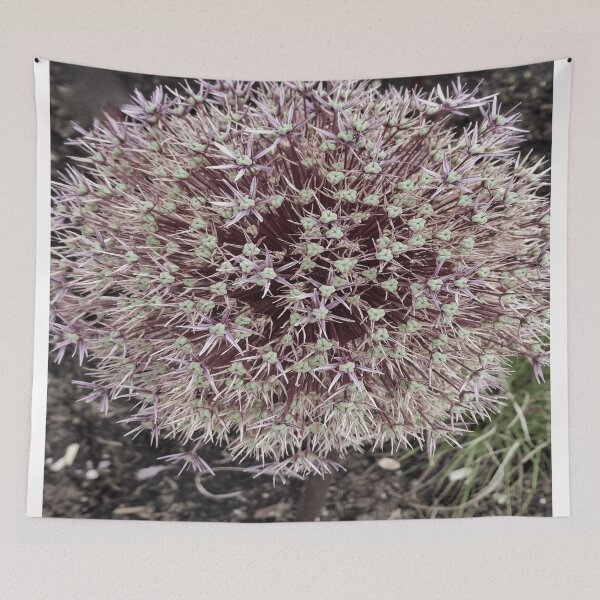Item preview, botanical starburst close up floral photo art design designed and sold by SmashingDeals.