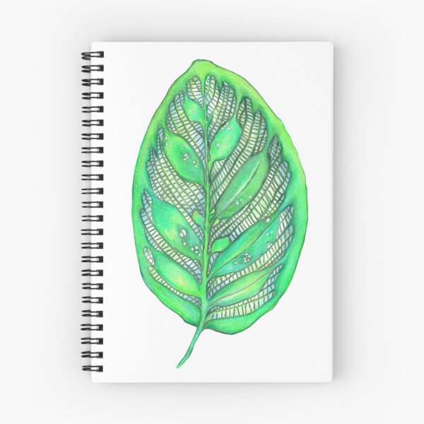 Item preview, PeacockPlant. hand drawn leaf, peacock plant Drawing designed and sold by Soulape.