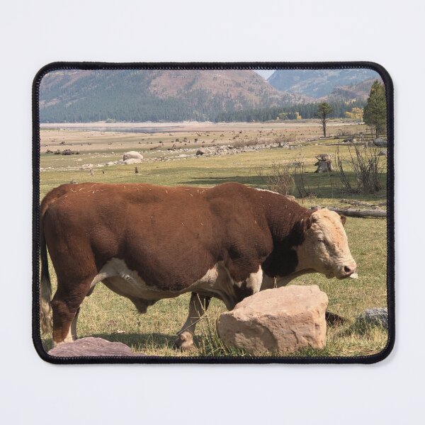 Item preview, Brown Cow designed and sold by BeachBumFamily.