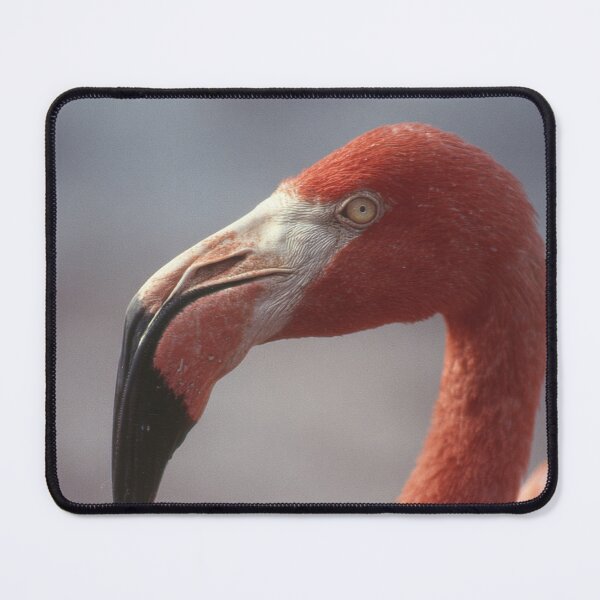 Item preview, Flamingo by water daylight designed and sold by anytka.