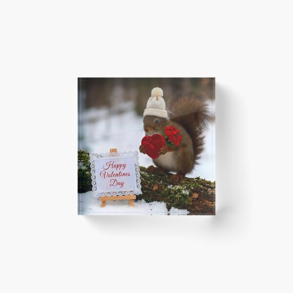 Item preview, Nuts About You designed and sold by vernonplatt.