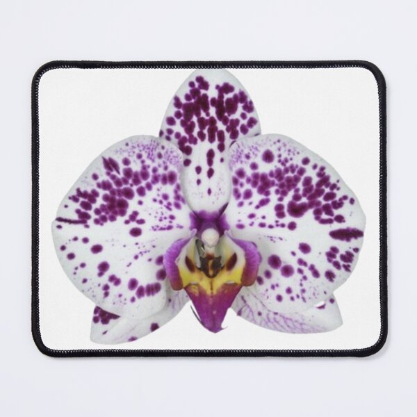Item preview, spotted purple orchid flower sticker designed and sold by inainart.